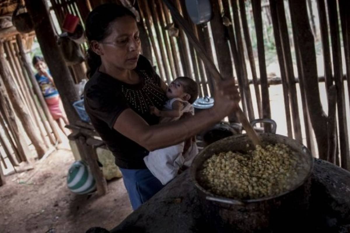 PDH señala indiferencia de autoridades por recorte presupuestario para combate a la desnutrición crónica