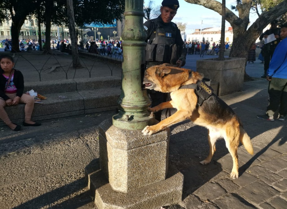 Django se jubila y deja el mayor registro de incautaciones de droga y dinero