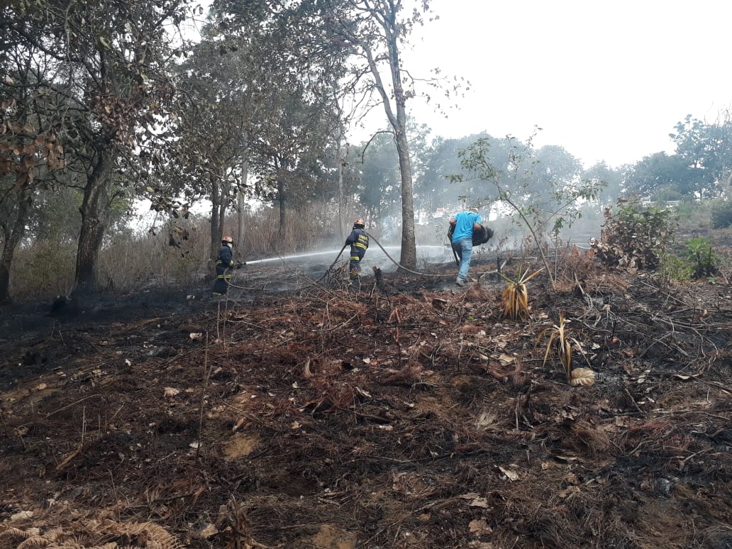 Habrá apoyo internacional para controlar incendios forestales