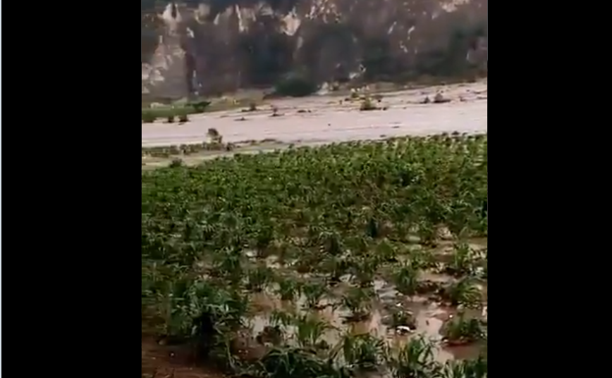 Inundación súbita tras lluvia provoca daños en cultivos