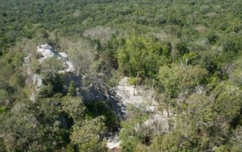 Incendio forestal se registra cerca del parque arqueológico ‘El Mirador’, Petén