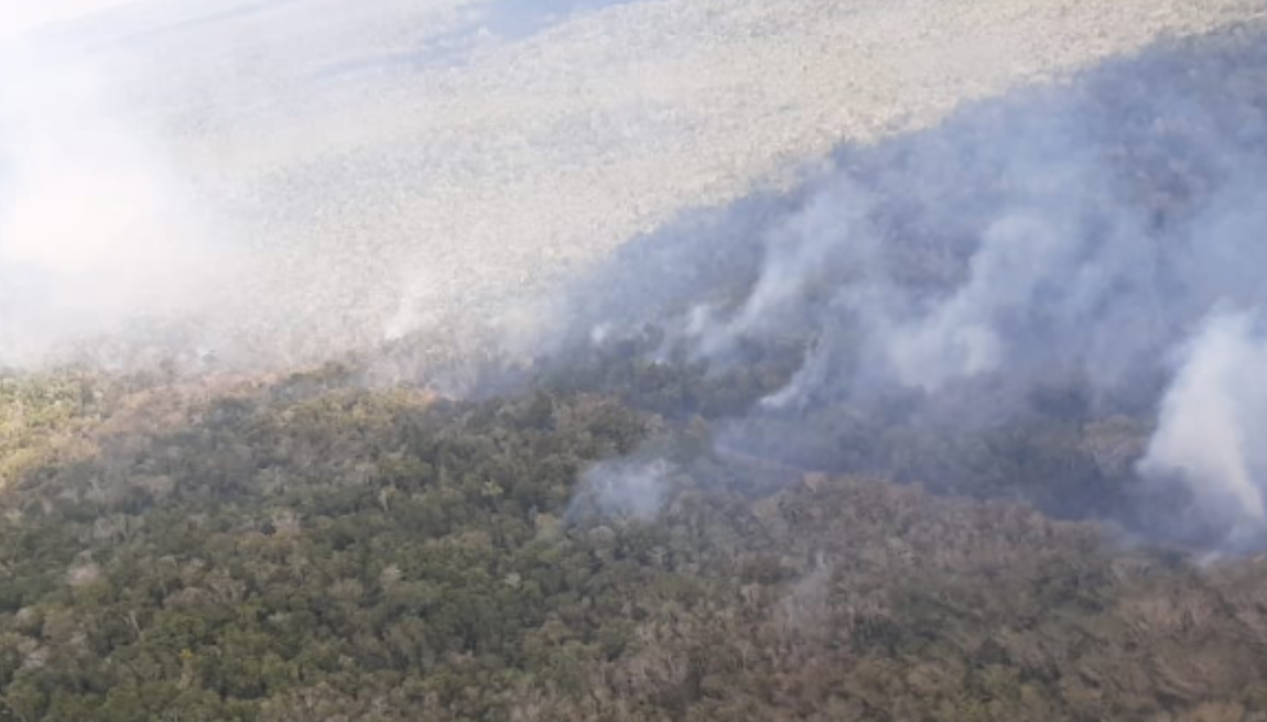 incendio forestal cerca del parque arqueológico El Mirador, Petén