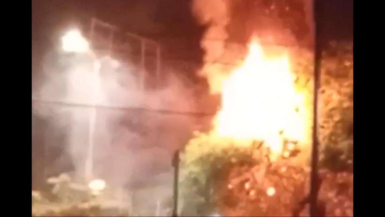 VIDEO | Queman casa en árbol de la Roosevelt de guatemalteco sin techo