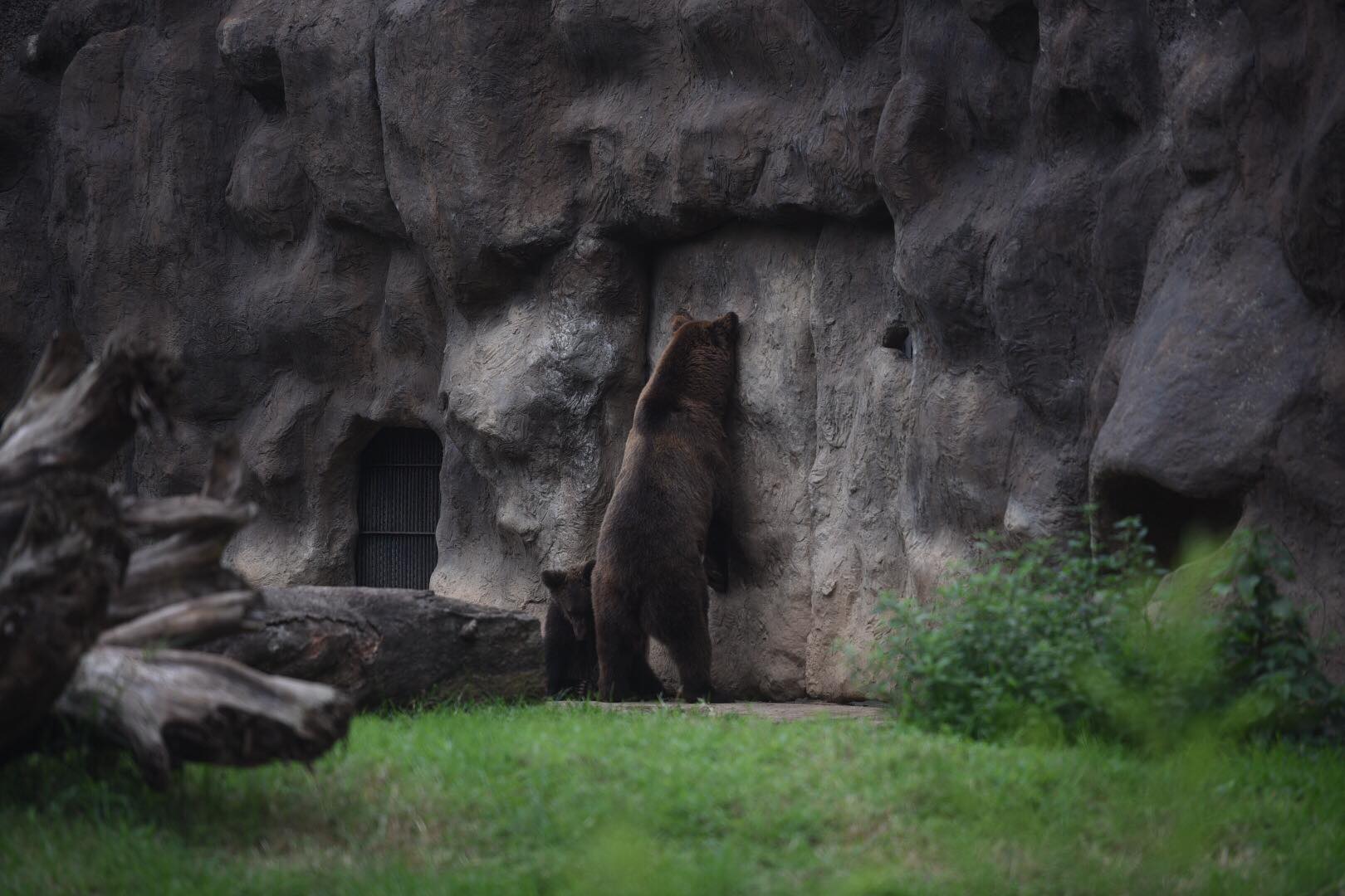 zoológico La Aurora reabre sus puertas en medio de la pandemia