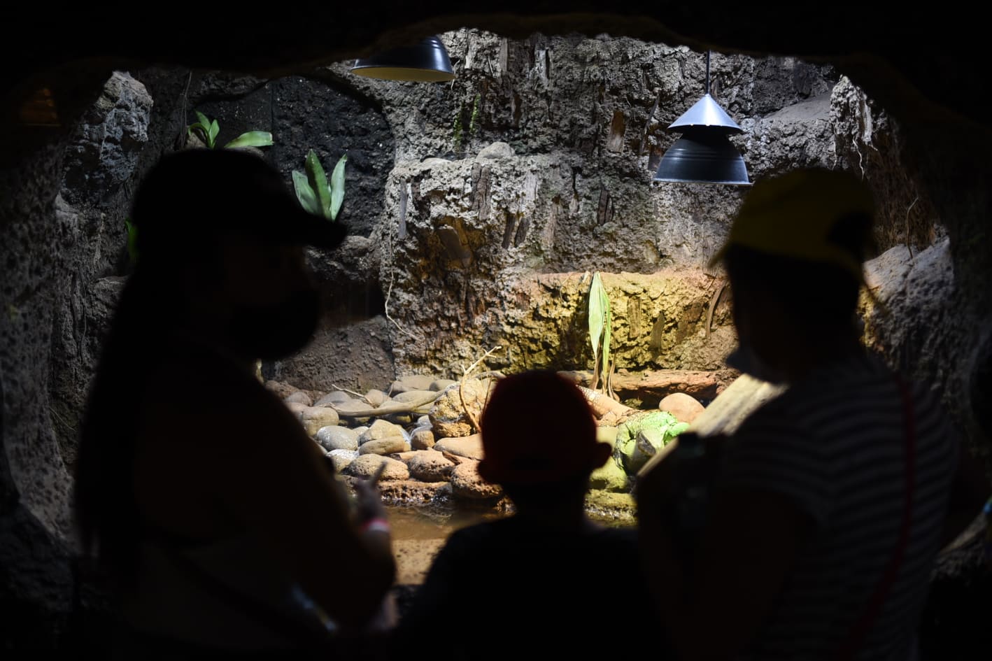 afluencia de personas en zoológico La Aurora