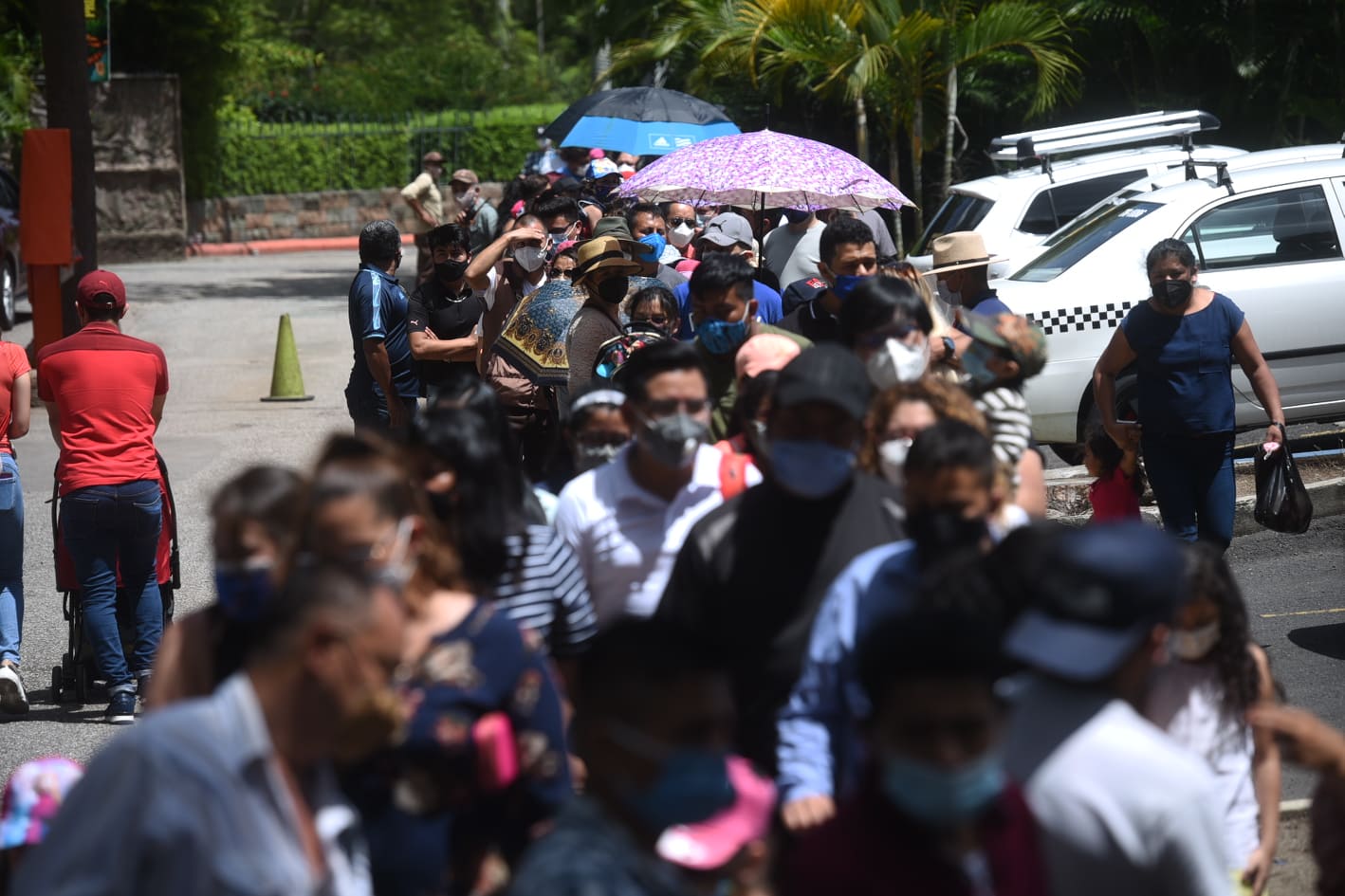 afluencia de personas en zoológico La Aurora