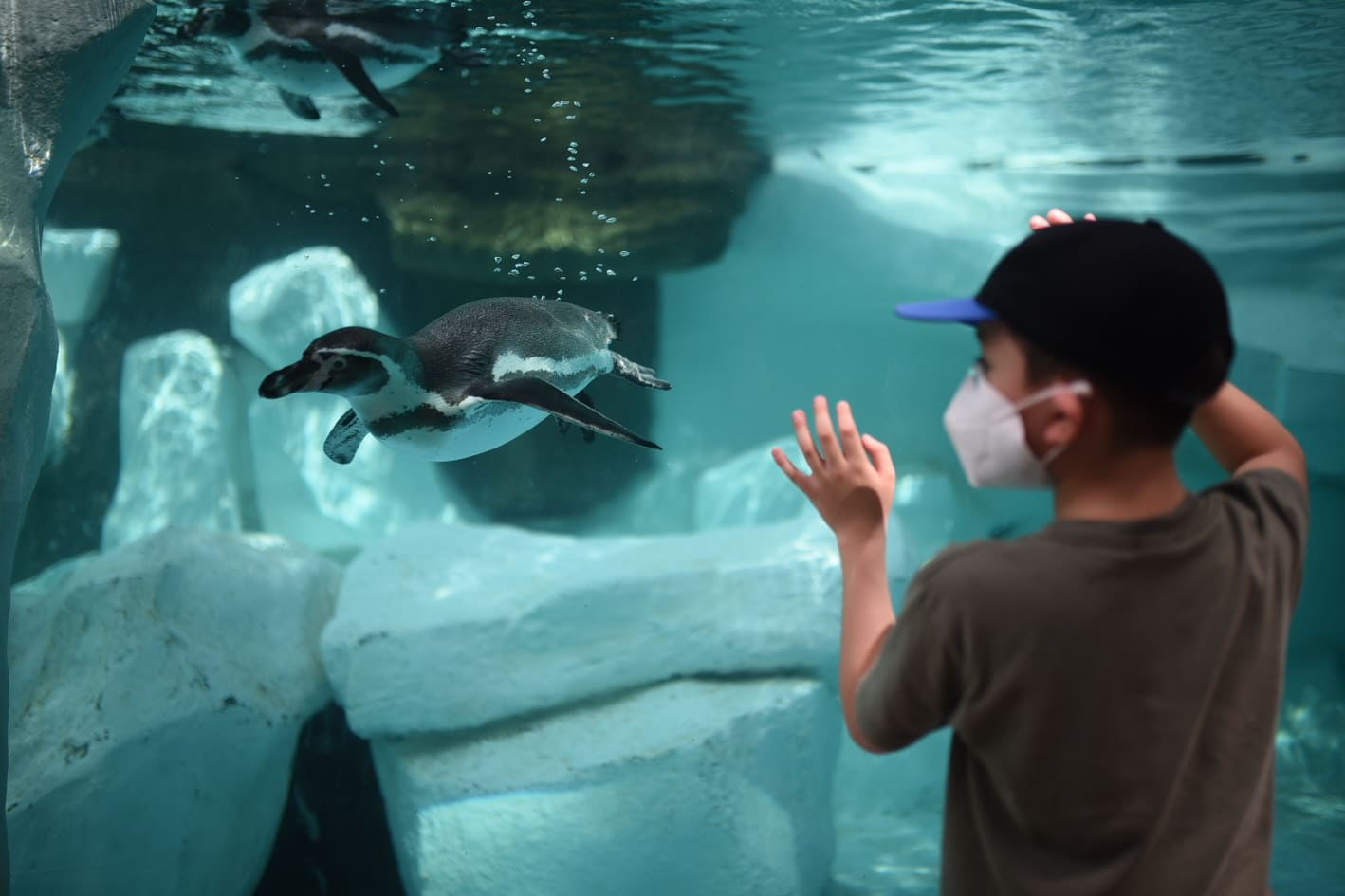 afluencia de personas en zoológico La Aurora