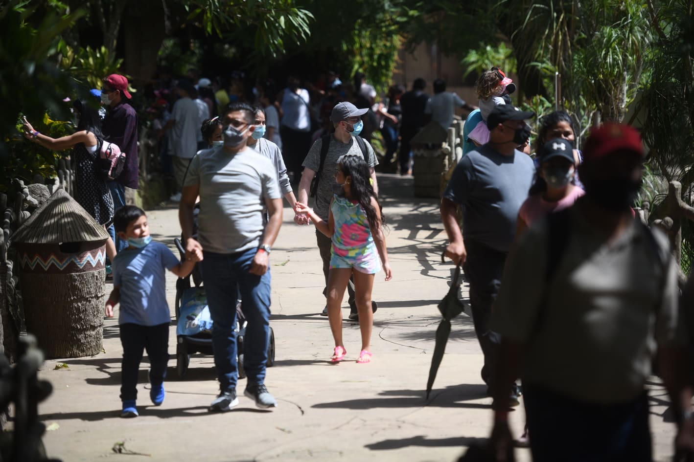 afluencia de personas en zoológico La Aurora