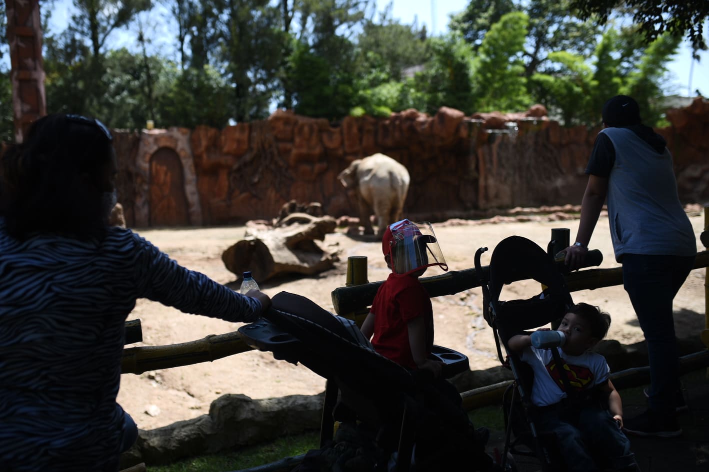 afluencia de personas en zoológico La Aurora