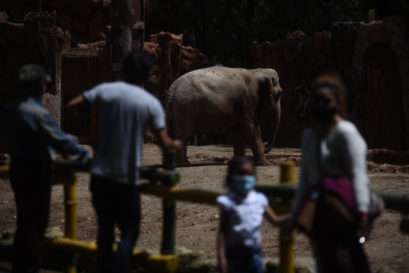 afluencia de personas en zoológico La Aurora