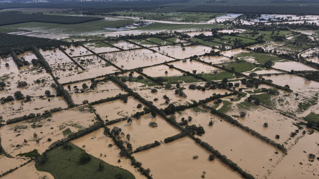 daños en cultivos y muerte de animales por lluvias de depresión Eta