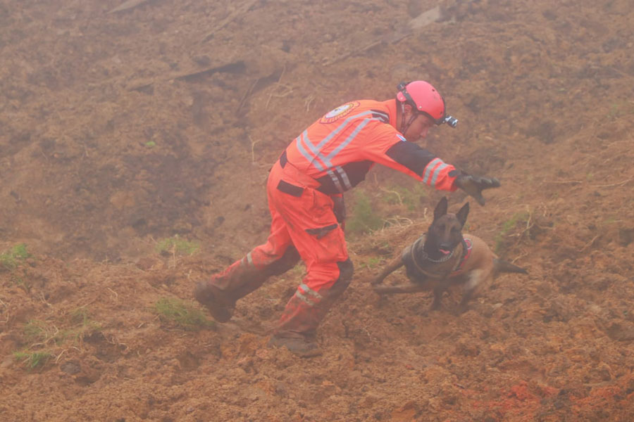 "Maya", de la Patrulla Canina de Bomberos Voluntarios