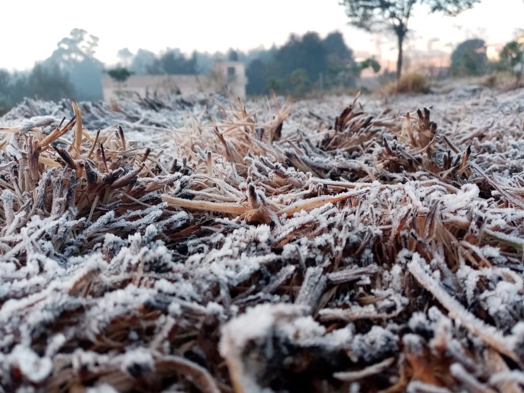 Totonicapán amanece con escarcha por las bajas temperaturas.