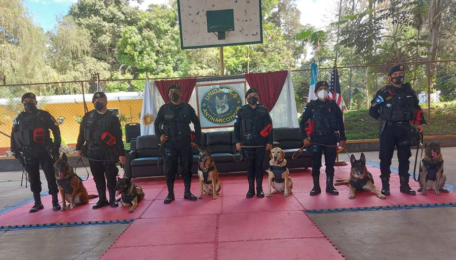 Agentes caninos en retiro en la PNC