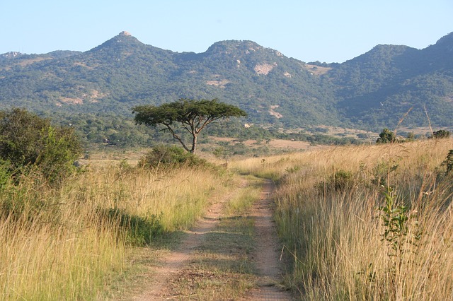 Sabana africana