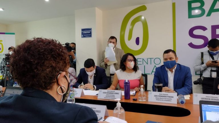 Amelia Flores, ministra de Salud, acude a citación con miembros de la bancada Semilla.