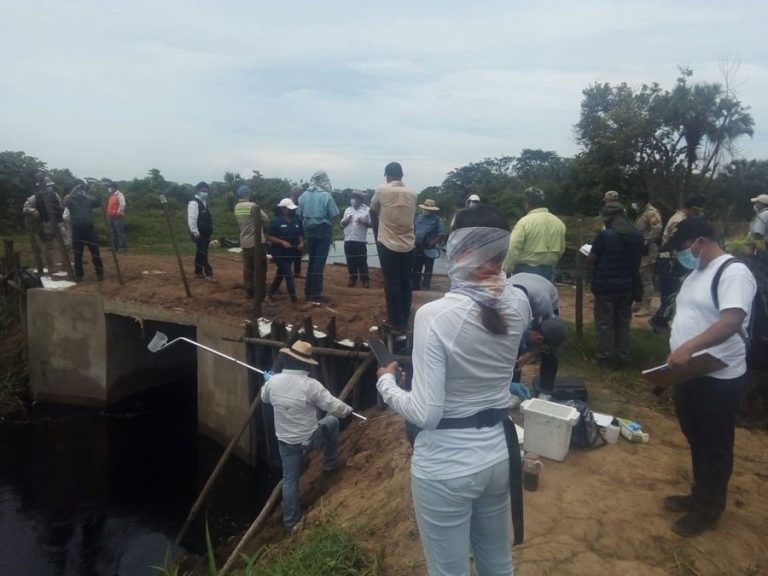 Inspeccionan posible contaminación en Manchón Guamuchal