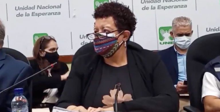 Amelia Flores, ministra de Salud