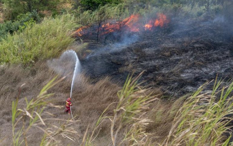 temporada de incendios