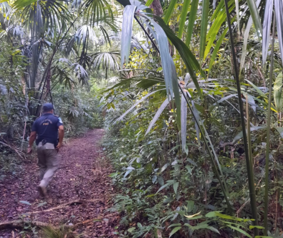 Localizan sin vida al turista alemán desaparecido en Tikal