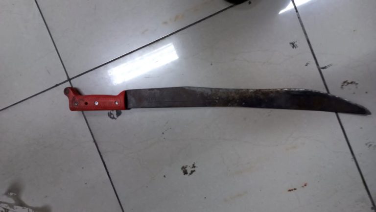 Capturan a hombre que golpeaba a su mamá con un machete