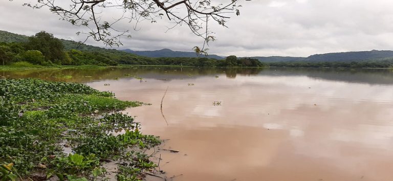 Realizan limpieza del río Lempa