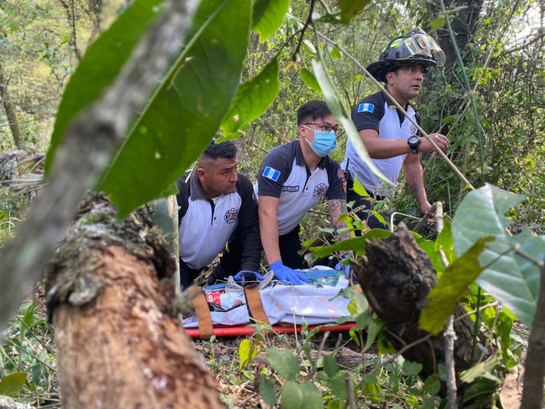 Niño muere tras caerle rama de árbol en Muxbal