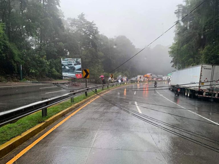 Cae árbol y derriba poste de alumbrado eléctrico en ruta hacia San Lucas Sacatepéquez