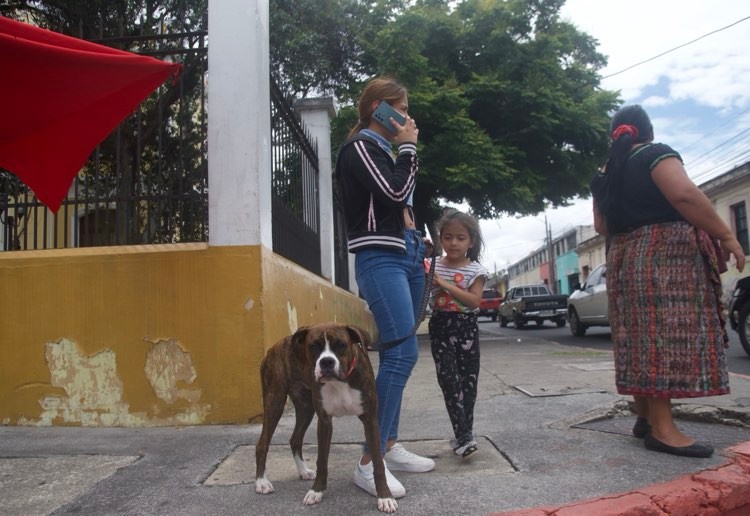 Estudiantes realizan jornada de vacunación para perros y gatos como forma de protesta