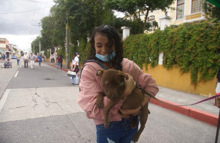 Estudiantes realizan jornada de vacunación para perros y gatos como forma de protesta