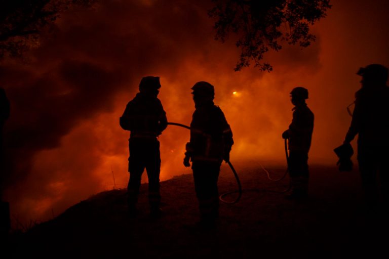 Incendios en Europa por ola de calor