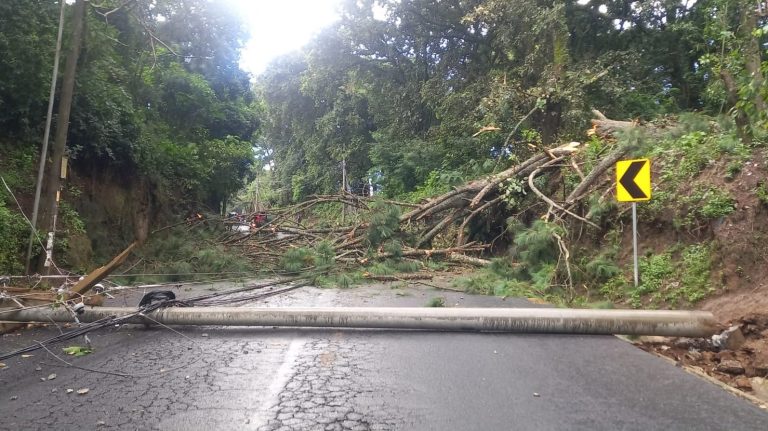 Árbol impide la circulación a San Juan Sacatepéquez. / Foto: PMT de Mixco