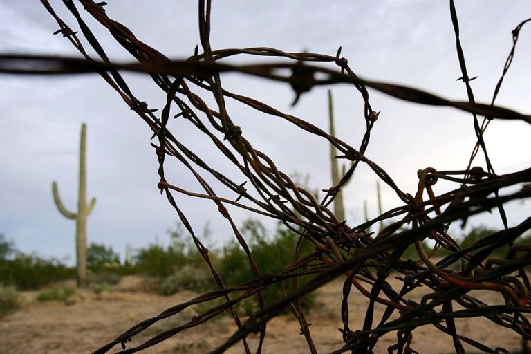 Parte del desierto de Gronaja