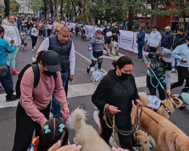 "Perritos en fuga", carrera canina en Ciudad de México