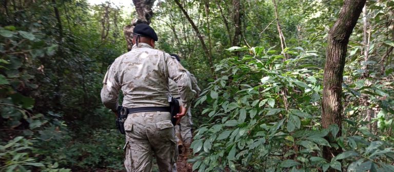 buscan a pantera en el Naranjo, Mixco