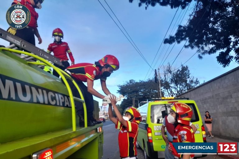 Bomberos rescatan dos aves exóticas. / Foto: CBM