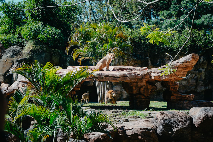 Zoológico La Aurora