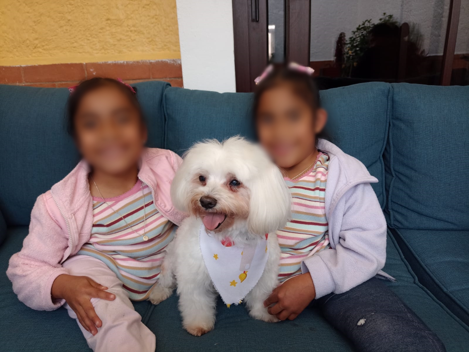 gemelas Las Rositas están en condición de adopción