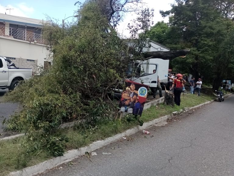 árbol cae sobre camión en MIxco