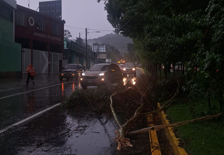 Árbol cae en ruta a San Lucas Sacatepéquez