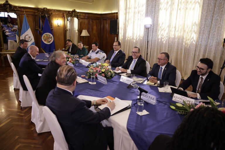 Secretario de OEA, Luis Almagro, se reúne con Giammattei