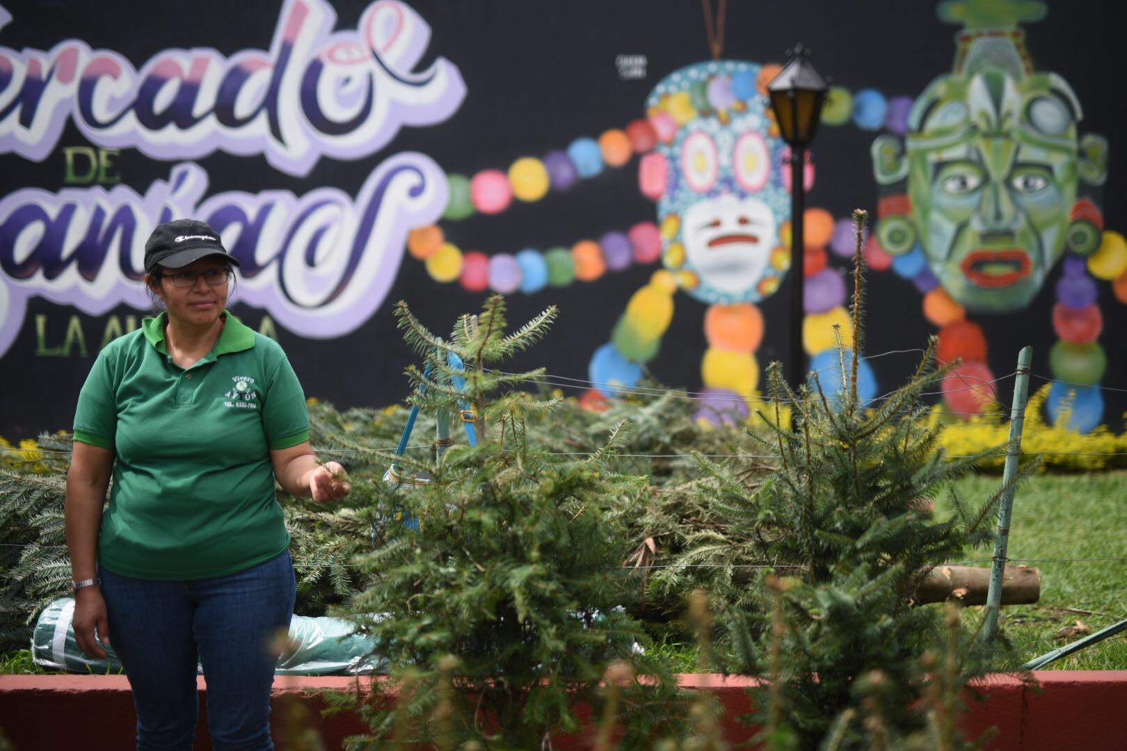 Feria del Pinabete en mercado de Artesanías, zona 13