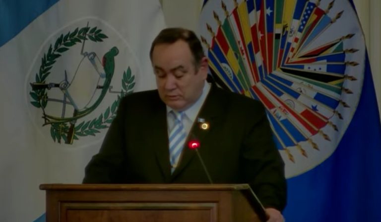 Giammattei participa en reunión del Consejo Permanente de la OEA