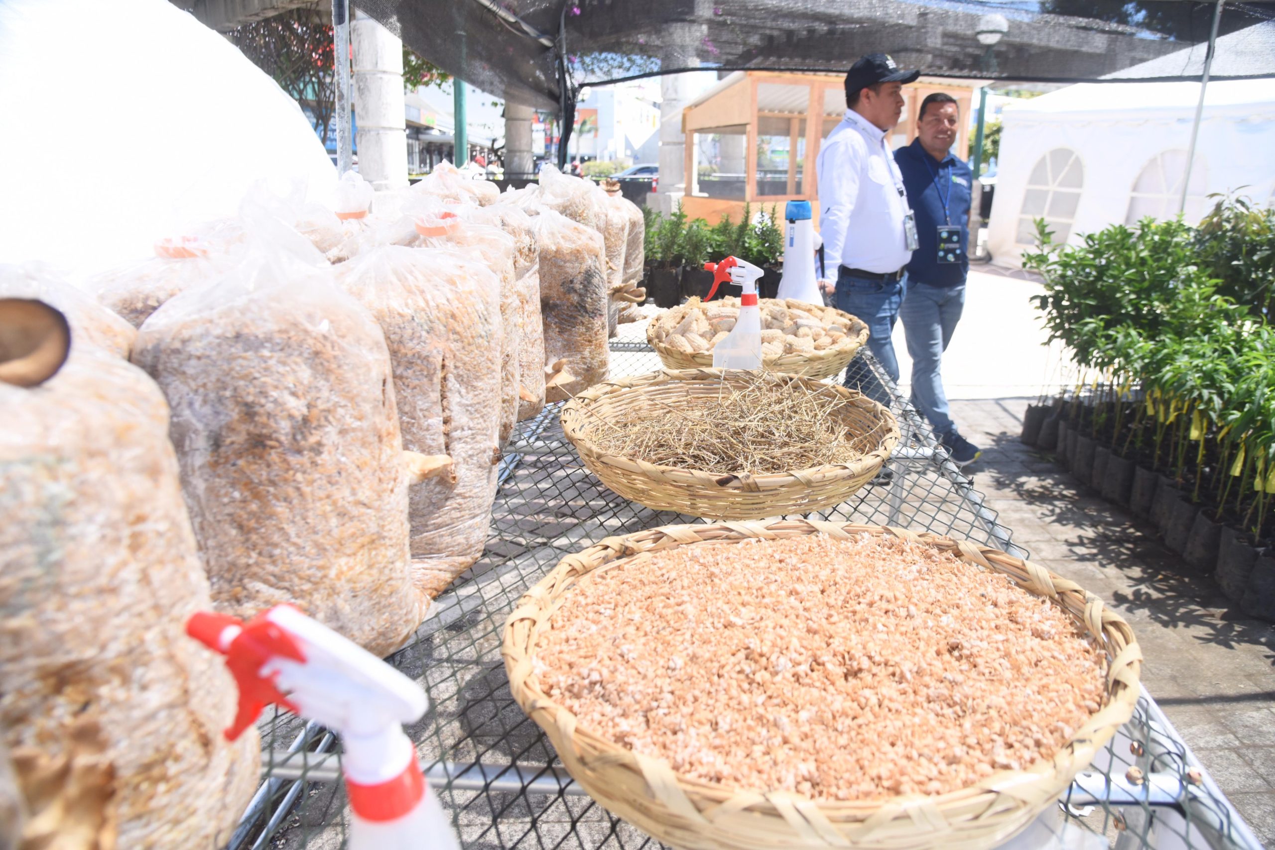 Guatemaltecos por la Nutrición presenta campamento de Nutrimóviles