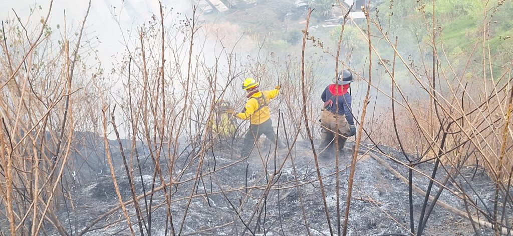 incendio forestal