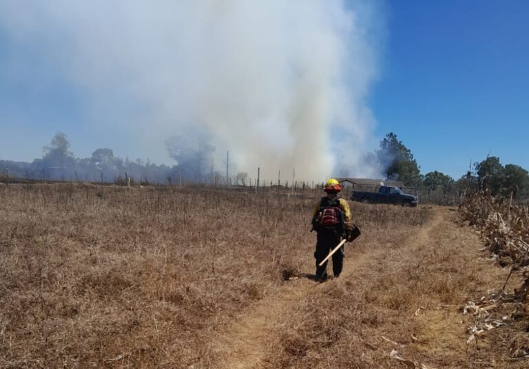 incendios forestales