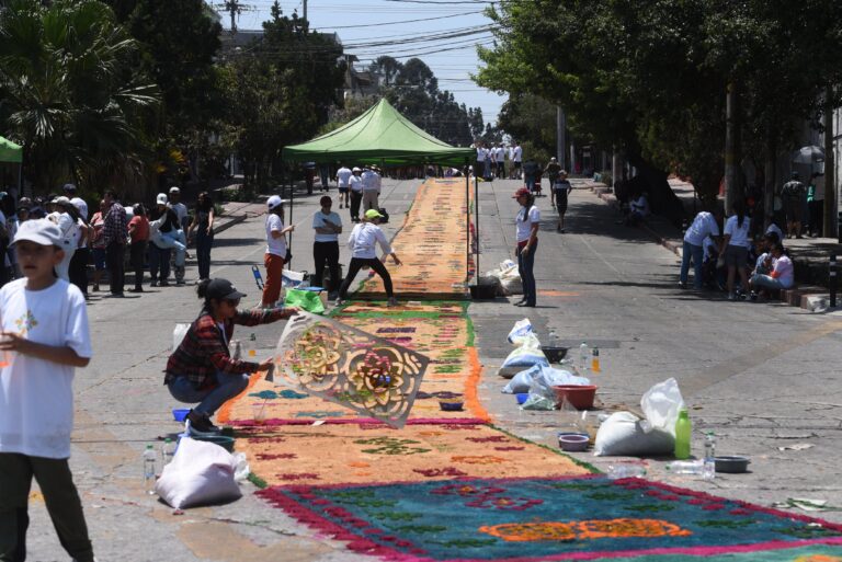 alfombra-de-la-ciudad-viernes-santo-15