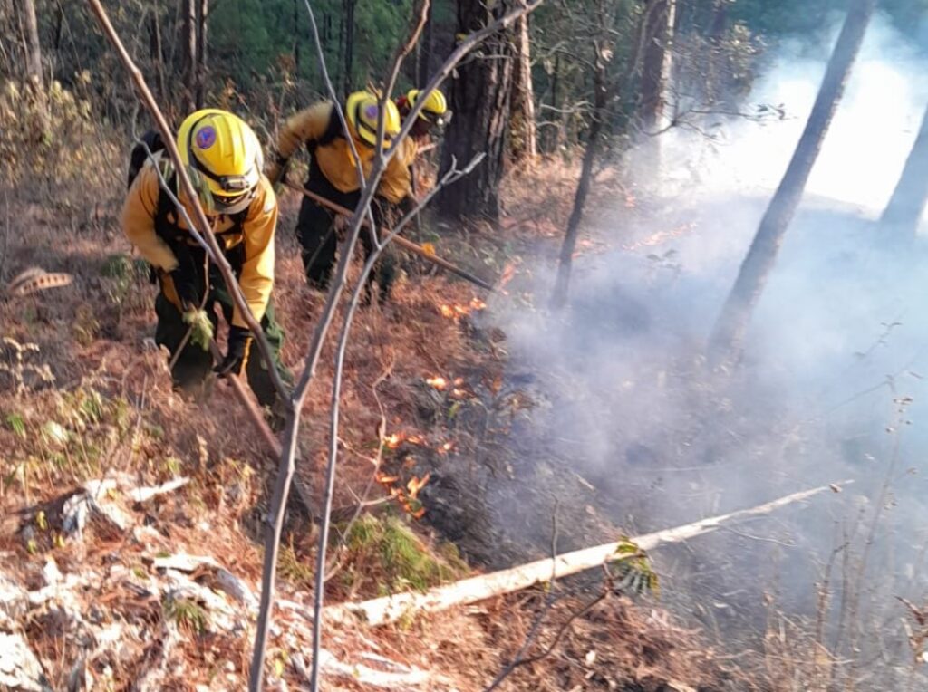 incendio forestal en Santa Rosa